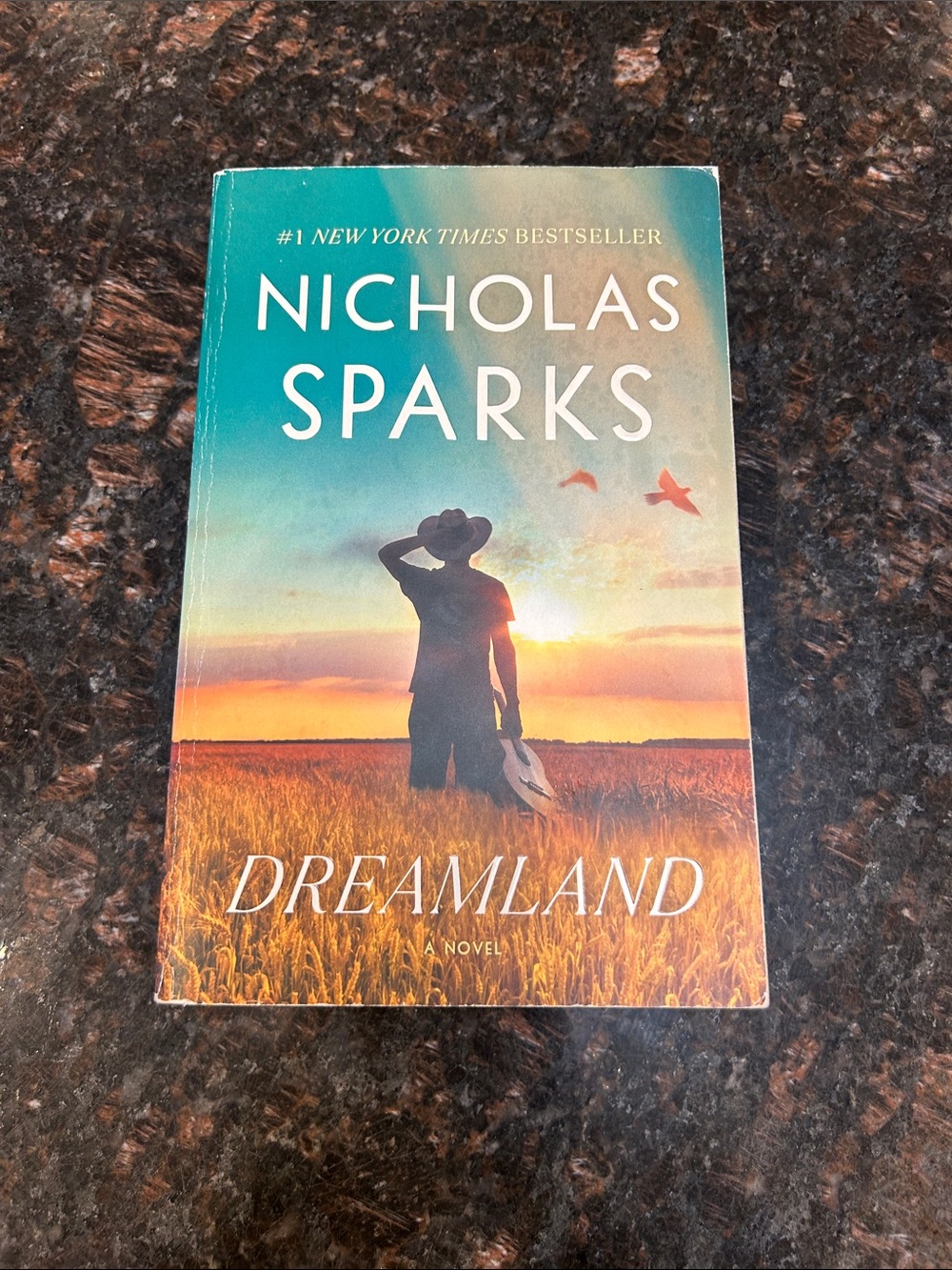 Nicholas Sparks "Dreamland" Paperback Novel - Teal & Orange Cover
